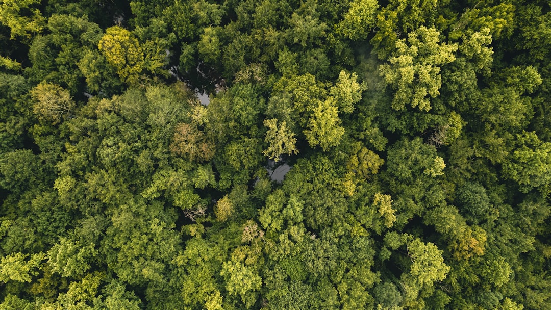 découvrez perrier, l'eau minérale gazeuse emblématique, célèbre pour son effervescence naturelle et ses bienfaits. parfaite pour accompagner vos repas ou comme boisson rafraîchissante, elle allie plaisir et qualité. plongez dans l'univers pétillant de perrier !